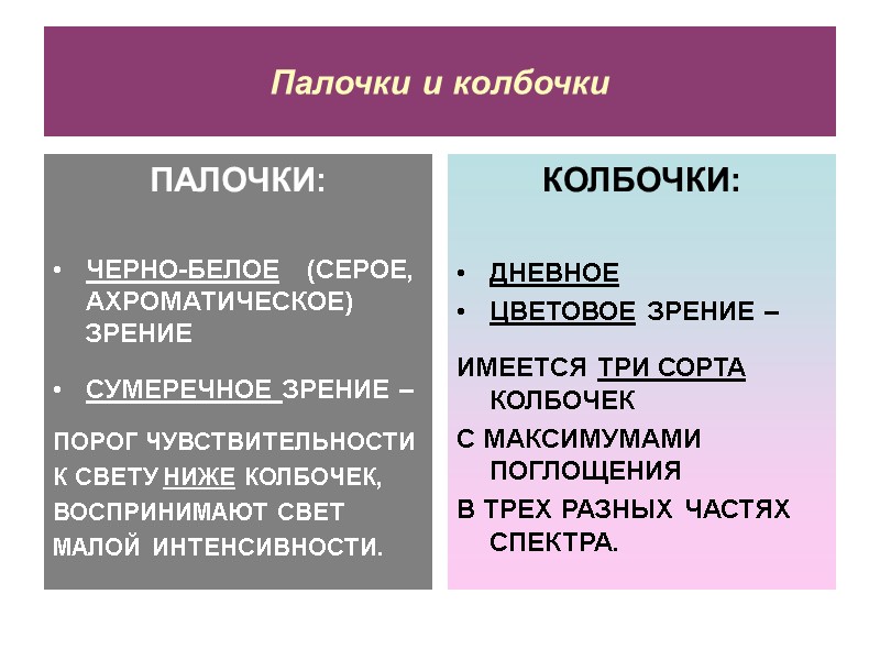 Палочки и колбочки ПАЛОЧКИ:  ЧЕРНО-БЕЛОЕ   (СЕРОЕ, АХРОМАТИЧЕСКОЕ) ЗРЕНИЕ  СУМЕРЕЧНОЕ ЗРЕНИЕ